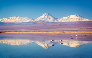 EL DESIERTO DE ATACAMA EL DESIERTO DE ATACAMA